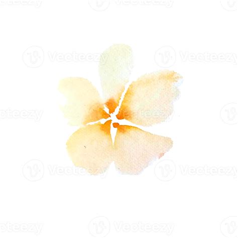 Watercolor Simple Peach Flowers 38033048 Png