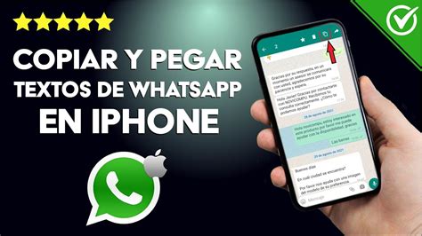 C Mo Copiar Y Pegar Textos De Whatsapp Desde Tu Iphone Youtube