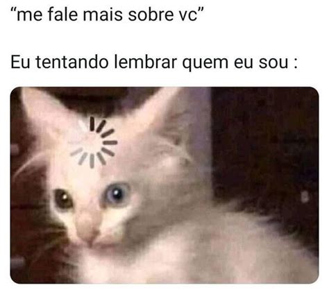 Top 50 Memes Engraçados 2022 para Whatsapp Frases e Gifs