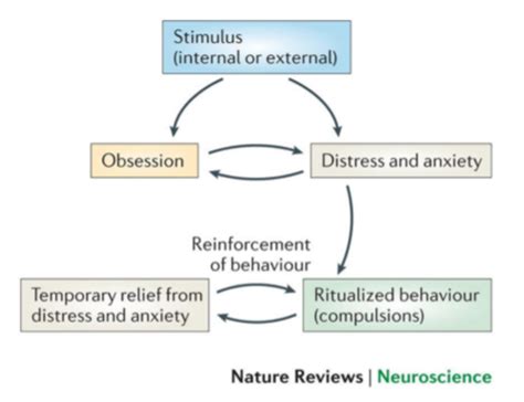 Diagnosis And Management Of Ocd Flashcards Quizlet