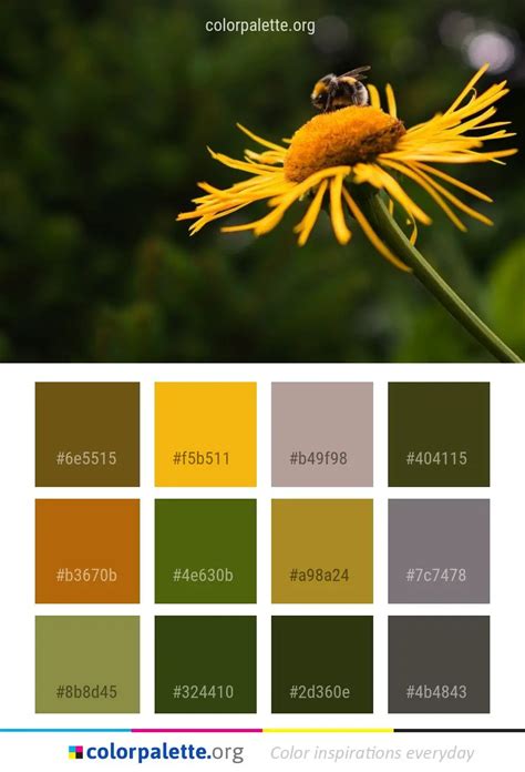 Honey Bee Flower Color Palette | colorpalette.org