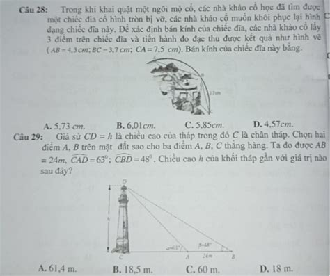 Trong khi khai quật một ngôi mộ cổ các nhà khảo cổ học đã tìm được một