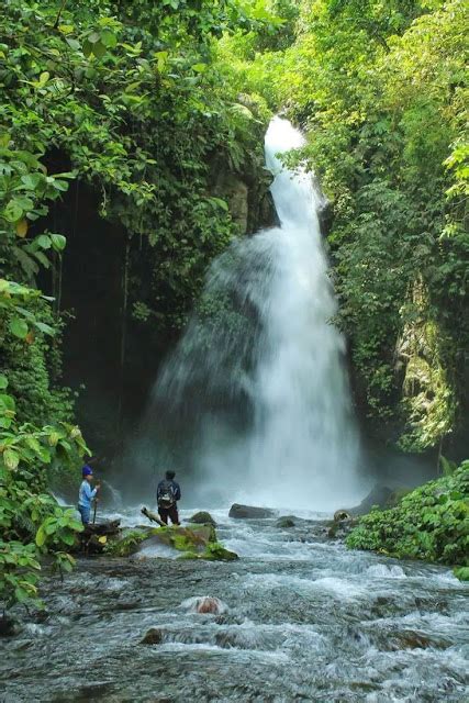 Air Terjun Telunjuk Raung Songgon Banyuwangi Info Rute Lokasi