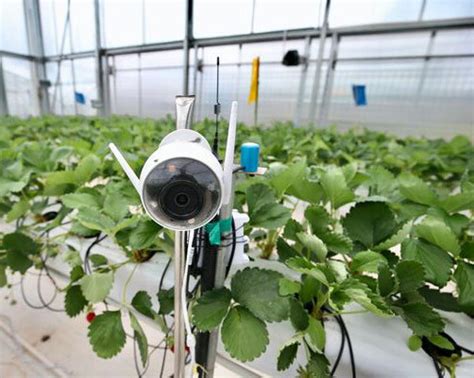 How tech is transforming agriculture in China — China Experience