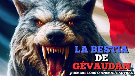 Un Hombre Lobo Real En Francia La Bestia De G Vaudan Qui N O Qu