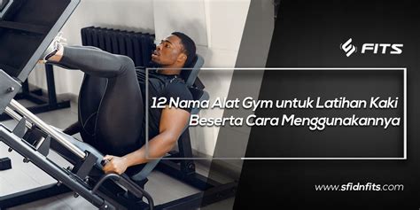 Sfidn Fits Blog 12 Nama Alat Gym Untuk Latihan Kaki Beserta Cara Menggunakannya