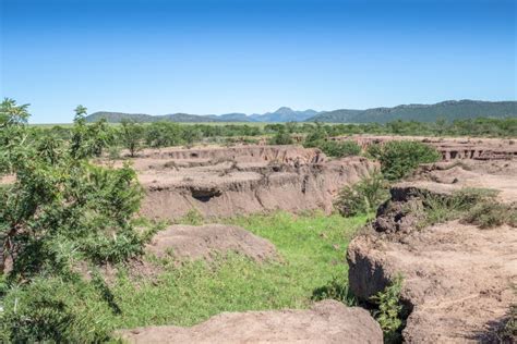 Soil Erosion Landscape Due To Deforestation Stock Photo Image Of