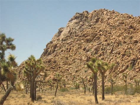 Joshua Tree Nat Park Okay Funny Story I Was Asleep Like Flickr