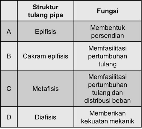 Perhatikan Struktur Tulang Pipa Berikut Ini