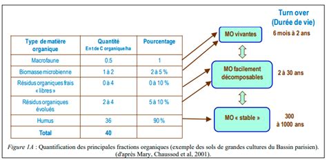Académie d Agriculture de France La matière organique son rôle