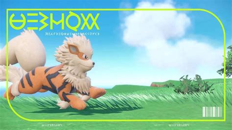 Come Avere Arcanine Shiny Su Pok Mon Scarlatto E Violetto