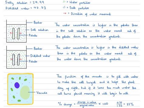 Osmosis In A Potato Required Practical Notes Teaching Resources