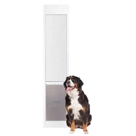 Great Dane Dog Doors For Sliding Glass Glass Door Ideas