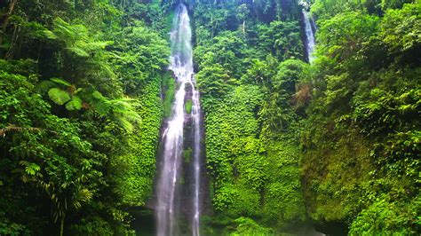 Hikers Visiting Amazing Rainforest Fiji Waterfalls While In Bali Free Stock Video Footage ...