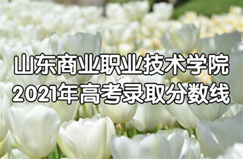 山东商业职业技术学院2021年高考录取分数线是多少？多少分能上？