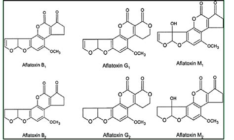 Aflatoxin