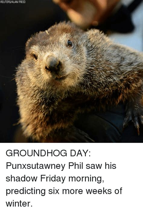 Punxsutawney phil Memes