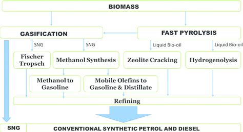 Biomass gasification and pyrolysis routes to synthetic biofuels. 208 ... 