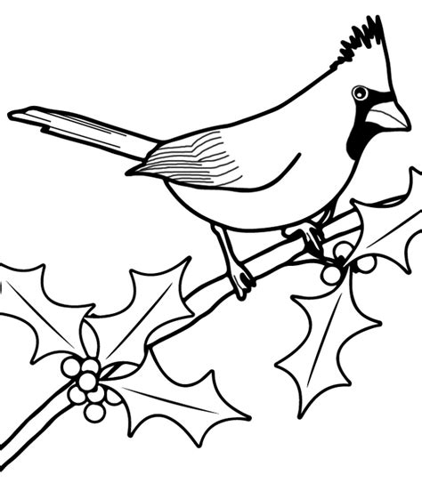 Top 8 High Detailed Beautiful Cardinal Coloring Pages Coloring Pages