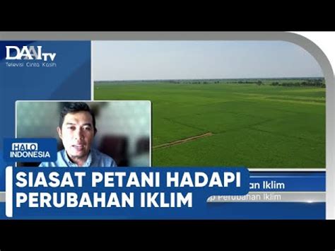 Siasat Petani Hadapi Perubahan Iklim Halo Indonesia YouTube