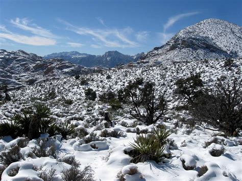 Winter Wonderland in the Mojave Desert : Photos, Diagrams & Topos ...