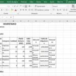 Inventario De Un Hospital En Excel Gu A Pr Ctica Y Plantilla Gratis