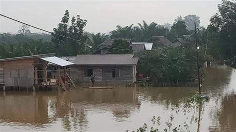 Hujan Deras Bikin Sungai Kampar Meluap Dua Desa Di Gunung Sahilan