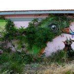 Street art interacting with nature | MiNDFOOD