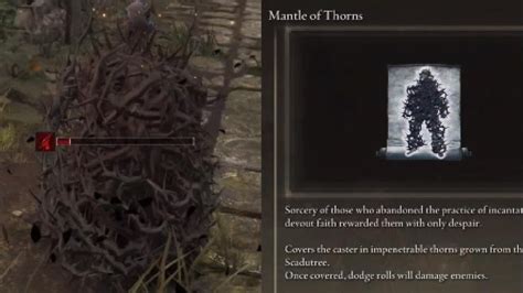 Elden Ring DLC 99 Int Spell Damage Test Mantle Of Thorns Joke Spell