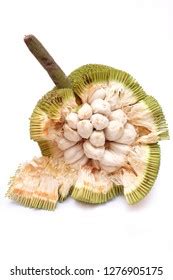 Fruits Sabah Borneo Called Buah Tarap Stock Photo 1276905175 | Shutterstock