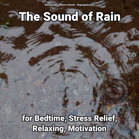 The Sound Of Rain For Bedtime Stress Relief Relaxing Motivation