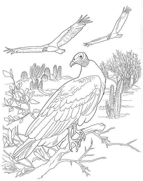 Desert Animals Coloring Page Printable Coloring Page Coloring Home