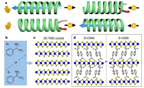 新型高质量手性分子插层超晶格材料—论文—科学网