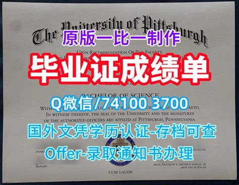 一比一原版uofr文凭证书美国罗切斯特大学毕业证如何办理 Ppt