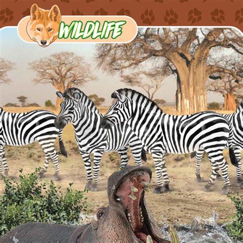 Collecta Products - Uncle Pete's Toys