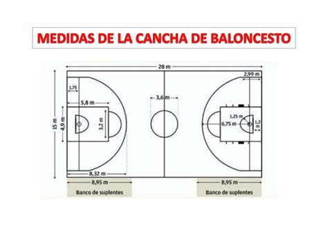 Dibujo Cancha De Baloncesto Con Sus Medidas Urema Nacor