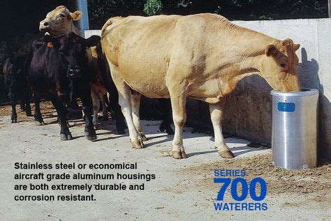 12 Automatic Livestock Waterers ideas | livestock, automatic, cattle