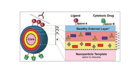 Multifunctional Cytotoxic Stealth Nanoparticles. A Model Approach with Potential for Cancer ...