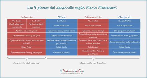 ᐈ Etapas Del Desarrollo María Montessori Psicorevista