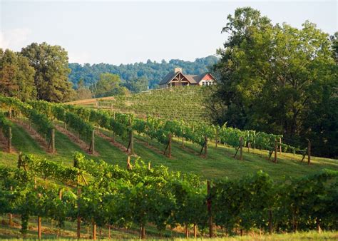 Best 8 Wineries in Hendersonville NC: A Guide to the Top Vineyards in ...