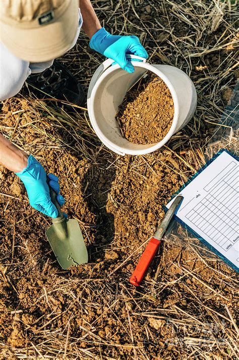 Soil Scientist Taking Soil Sample Photograph By Microgen Images Science