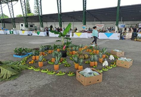 Exposiciones Y Platos Elaborados Con Pl Tano Diario La Hora