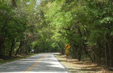 Ashley River Road – Ashley River Historic Corridor