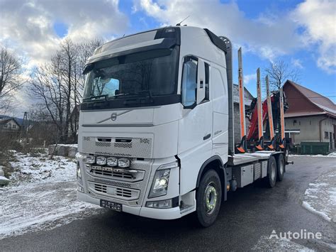 Volvo FH13 460 timber truck for sale Poland Mszana Górna MN36931