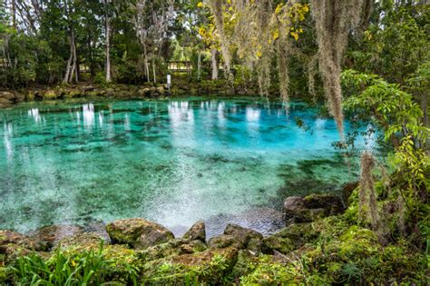 How to Visit Three Sisters Springs Crystal River, Florida