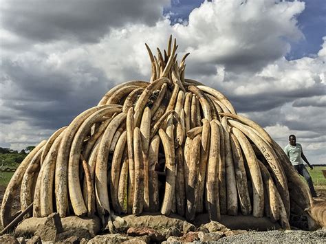 The Historic Ivory Burn Ahnasa