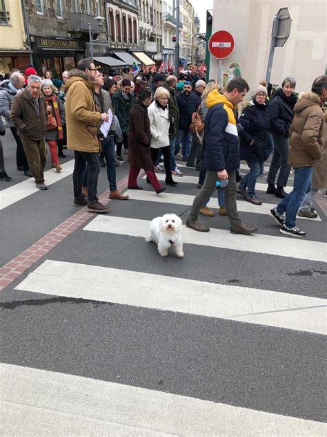 Gr Ve Du Janvier Granville Le Cort Ge D Marre Au Moins