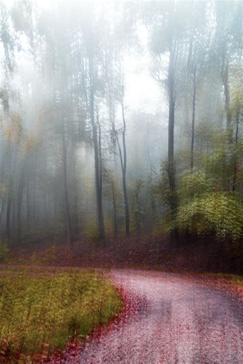 Autumn Bremthal Eppstein Germany Taki Kura Flickr