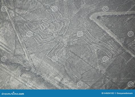 La Vista Aérea De Nazca Alinea El Geoglyph De La Araña Perú Foto de