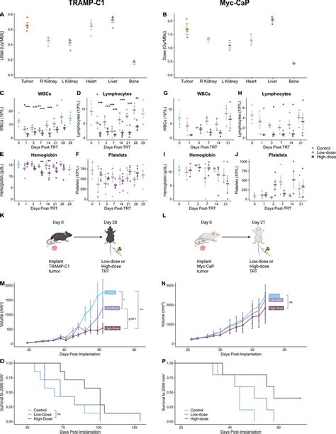 Antitumor Efficacy Of 90y Nm600 Targeted Radionuclide Therapy And Pd 1